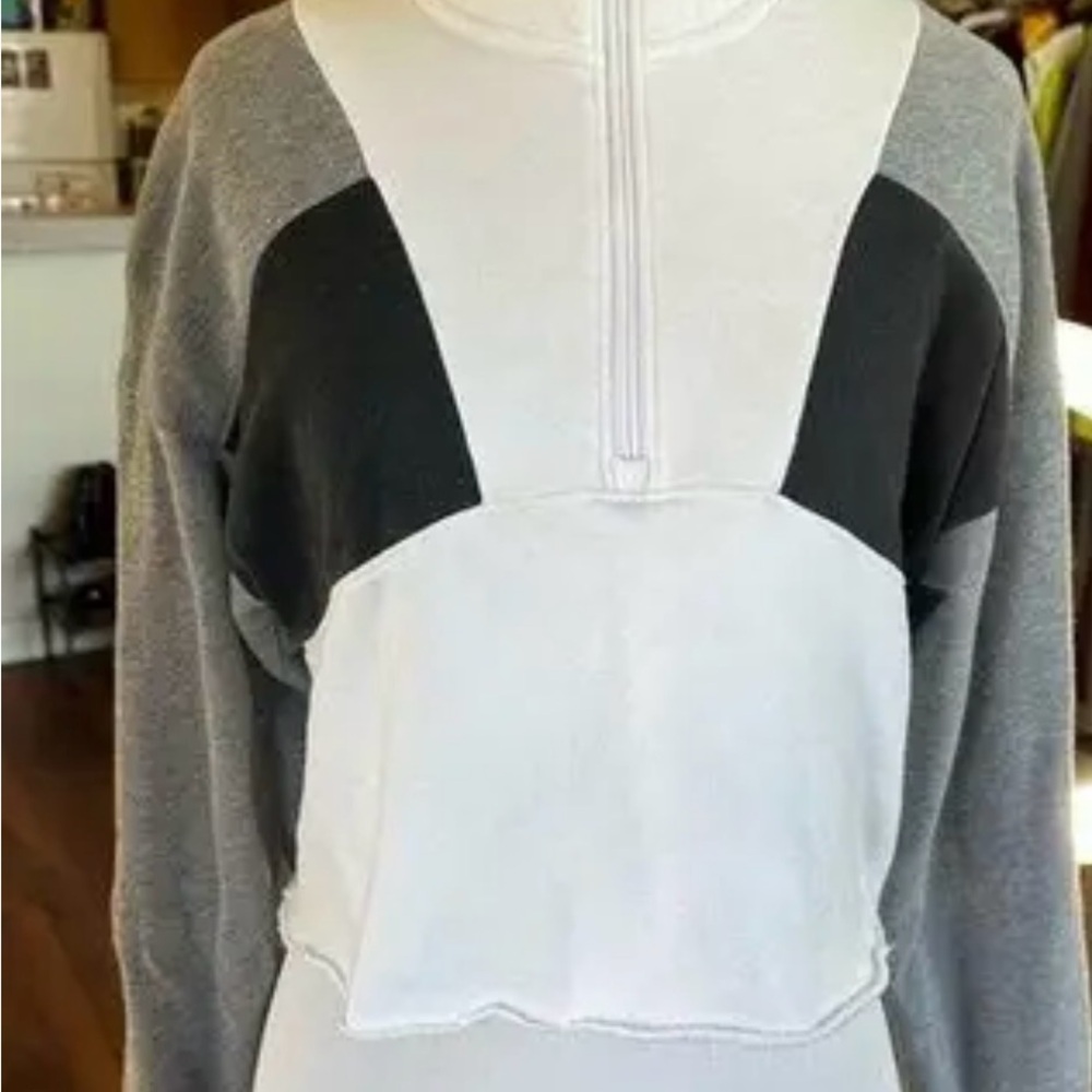 Y2K Hollister Gray and White Women's cropped Hoodie